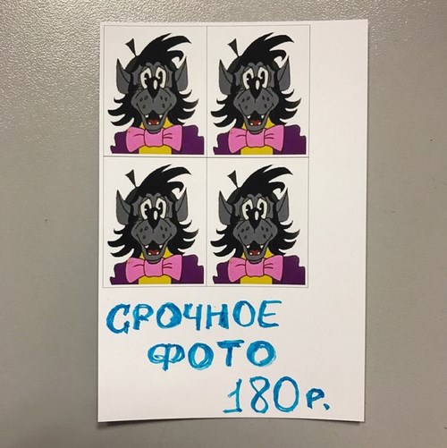 Изображение НорФото