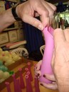 Аспект-Н агентство праздников
