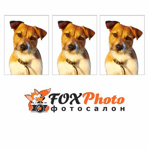 Фото FoxPhoto фотосалон
