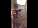 Крошка Енот Великий Новгород