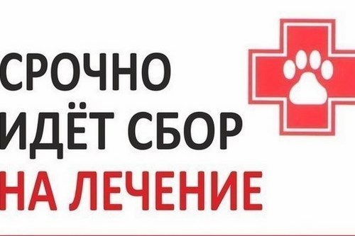 Перспектива учебный
