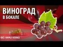 Для Разумейка частный