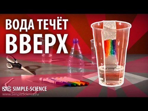 Для Разумейка Великий Новгород