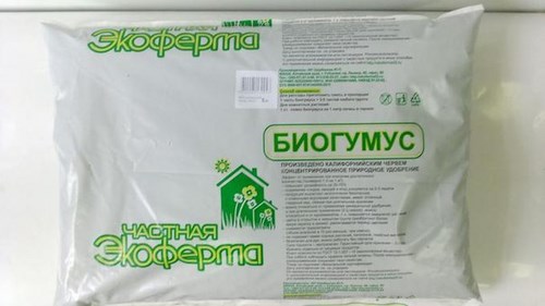 Фото Сияние центр