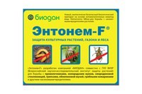 Картинка Сияние центр природного